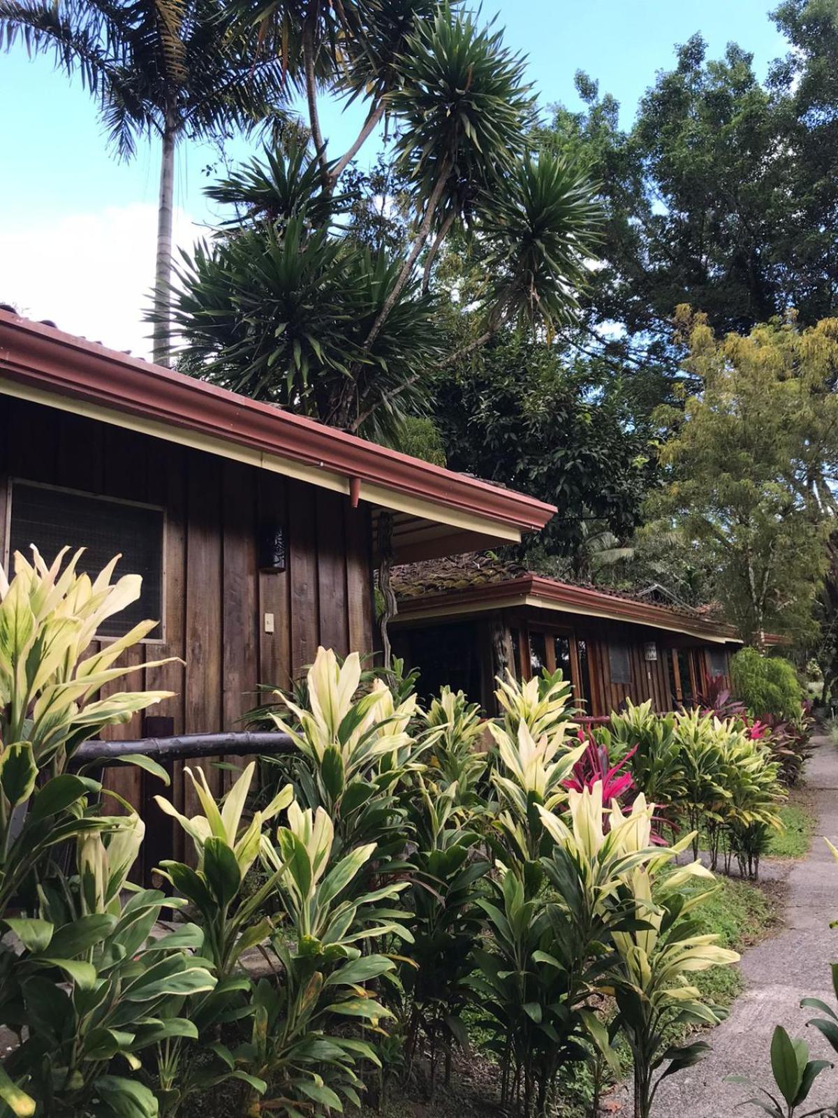 Hotel Kokoro Mineral Hot Springs La Fortuna ภายนอก รูปภาพ